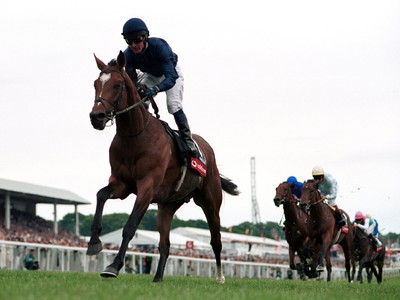Fittocks Brings Blue-Chip Galileo Colt to Tattersalls Image 1
